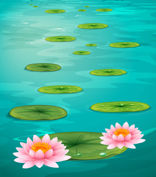 Due fiori di loto e foglie sull'acqua
 - Vettoriali, immagini
