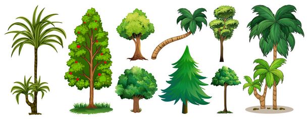 Different types of trees - Vector, Image