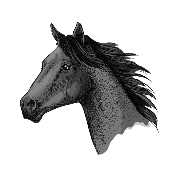 Razas de caballos símbolo vector bosquejo cabeza equina
 - Vector, Imagen