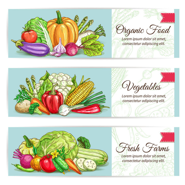 Organic vegetables food vector banner set - Vector, Image