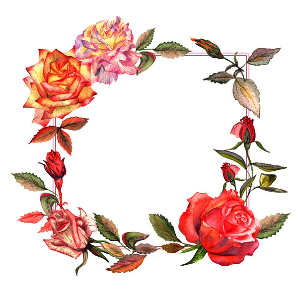 Wildflower rose flower frame in a watercolor style isolated. - Fotoğraf, Görsel