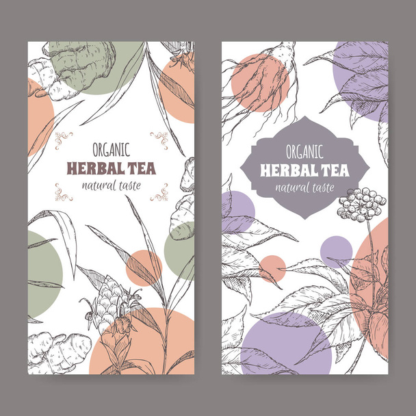 Two vector herbal tea labels with ginger and ginseng sketch. - Vettoriali, immagini