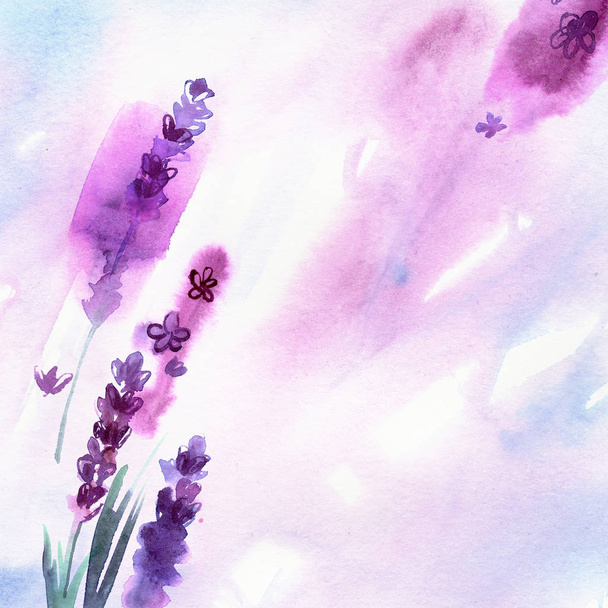 Aquarel hand geschilderd lavendel - Foto, afbeelding