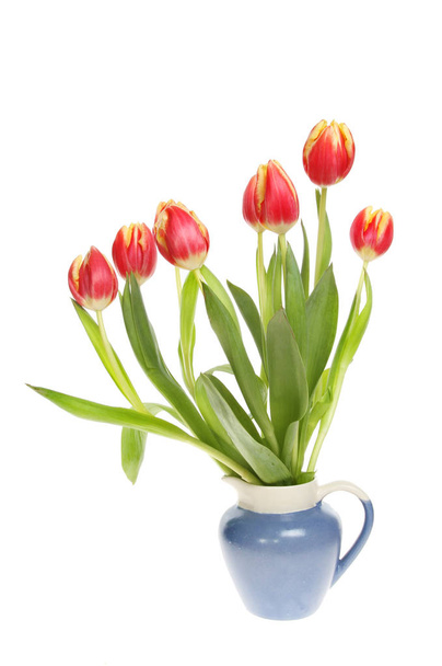 Tulips in a jug - 写真・画像