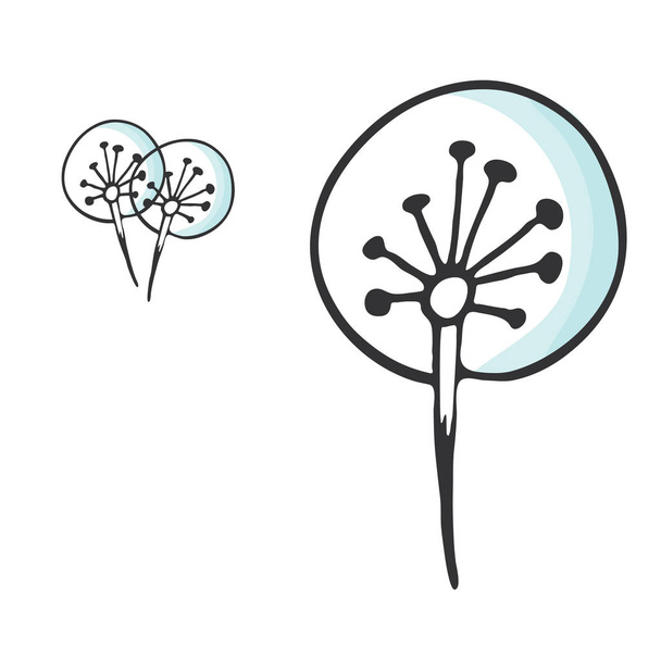 Set of dandeloon dandelion flowers. Hand drawn botanical illustration - Vector, Imagen