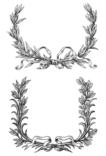 bocetos de las ramas de laurel y roble con cintas
 - Foto, Imagen