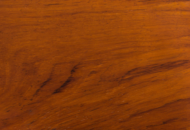 fundo e textura da madeira Macro Ormosia
 - Foto, Imagem