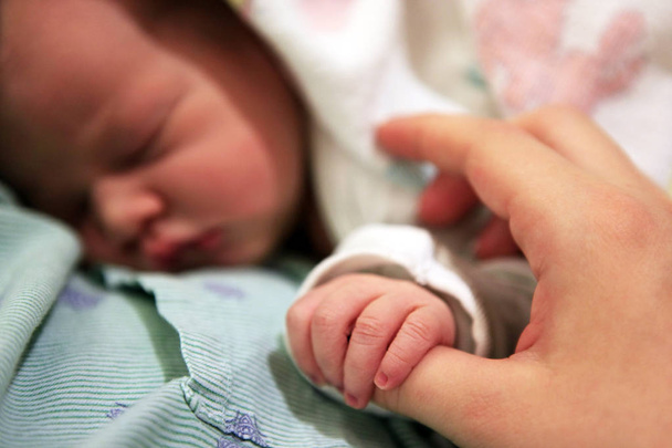 Спляча новонародженої дитини
 - Фото, зображення