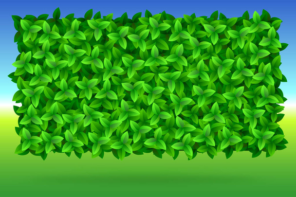 Zomer, lichte achtergrond van groene bladeren, vector afbeelding resizable - Vector, afbeelding