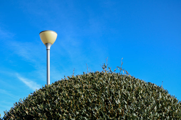 lampadaires globe blanc
 - Photo, image