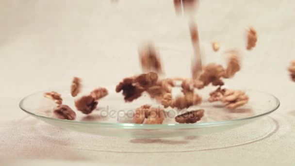 Dry raw walnut cores falling down into glass bowl - Filmmaterial, Video