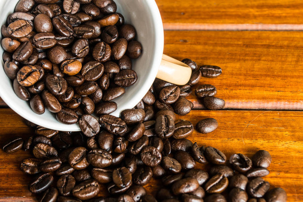 coffee cup and coffee beans - Valokuva, kuva