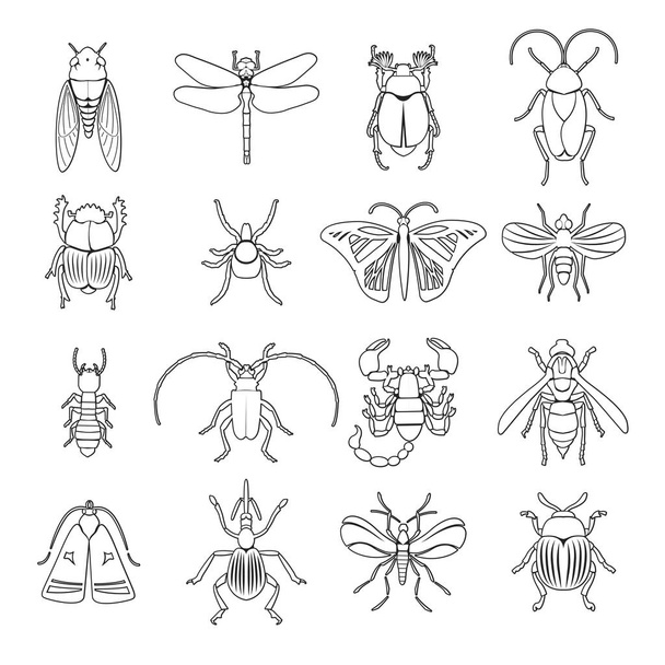 Outline Insects Icons Set - Vetor, Imagem