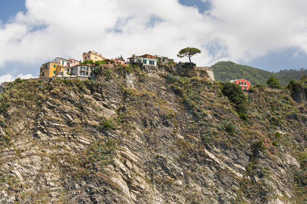 Cinque Terren Corniglian kylä
 - Valokuva, kuva