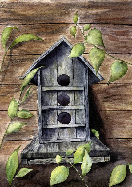 Весенняя печать акварелью с птичьим домиком и зеленью. Ручная краска
 - Фото, изображение