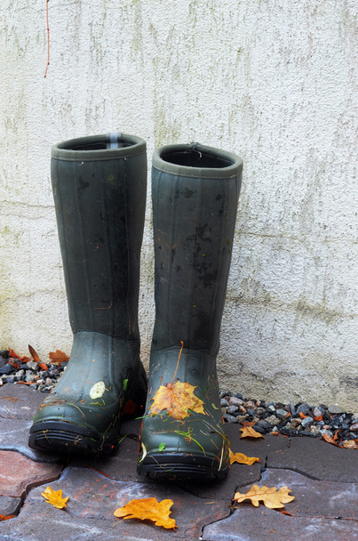 Pair of rubber boots with autumn leaves - Fotografie, Obrázek