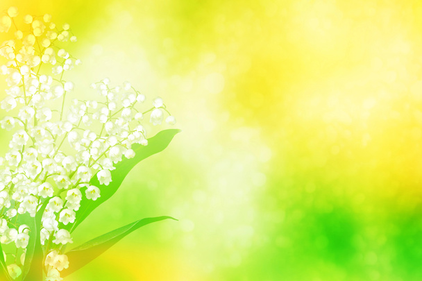 Wiosenny krajobraz. lilia kwiatowa doliny - Zdjęcie, obraz