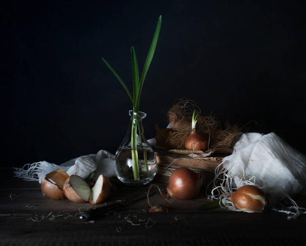 Still life with onions on a wooden table on a dark background - Zdjęcie, obraz