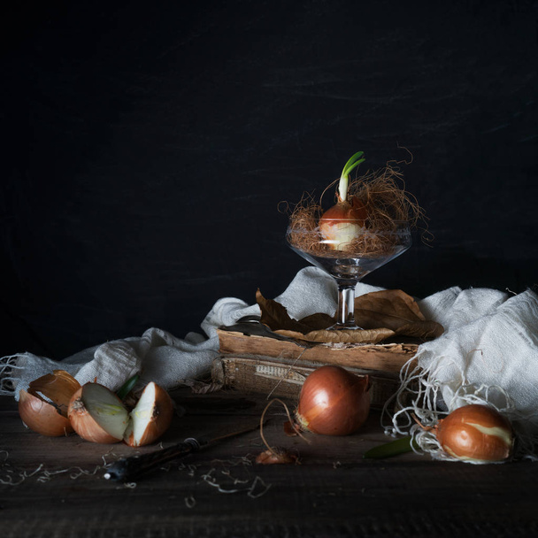 Still life with onions on a wooden table on a dark background - Φωτογραφία, εικόνα