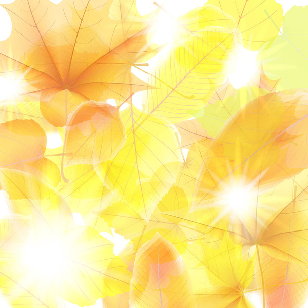 Fond d'automne avec des feuilles d'érable. plus EPS10
 - Vecteur, image