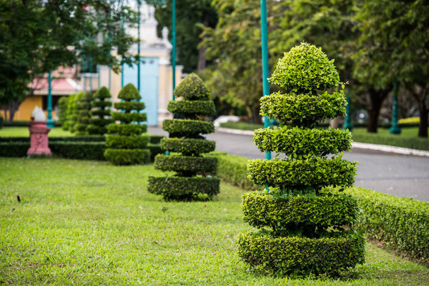 Décoration de jardin d'arbre de coupe au temple asiatique
 - Photo, image