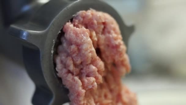 Gehakt varkensvlees uit uit grinder - Video