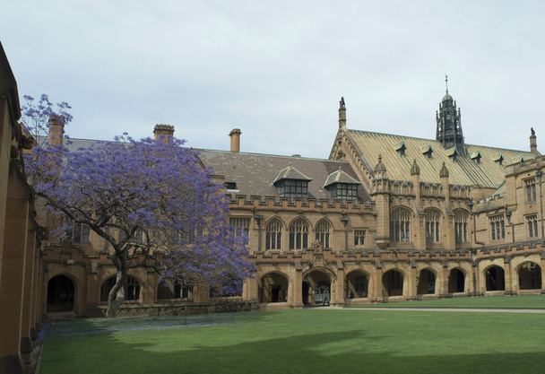 Sydney univerzity čtyřúhelník - Fotografie, Obrázek