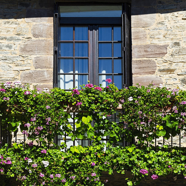 Windows z kwiatami - Zdjęcie, obraz