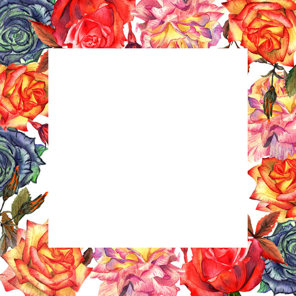 Wildflower rose flower frame in a watercolor style isolated. - 写真・画像