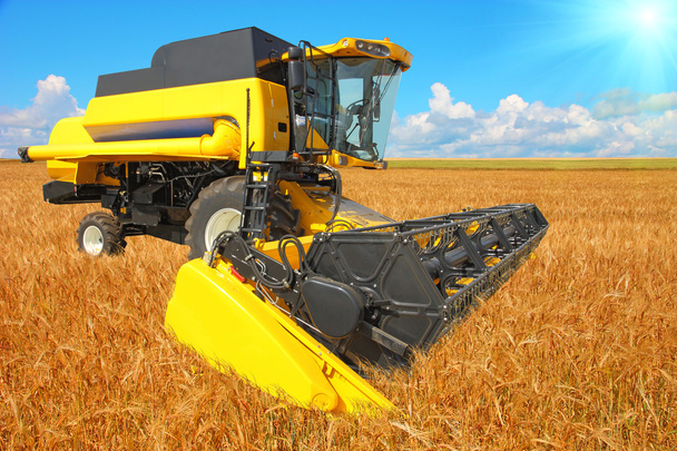 Combine colheitadeira em um campo de trigo com um céu azul
 - Foto, Imagem