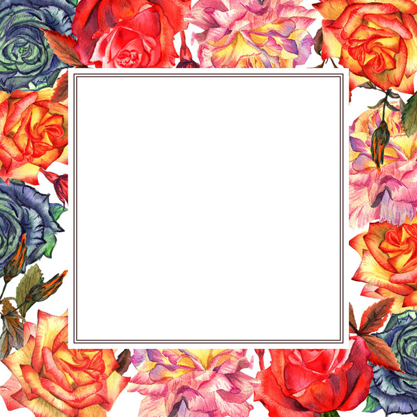 Vadvirág Rózsa virág keret elszigetelt akvarell stílusú. - Fotó, kép