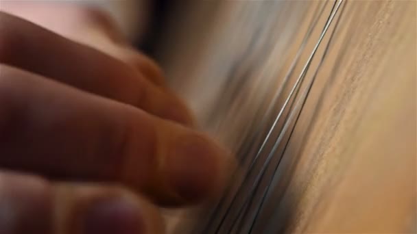 Finger Playing On Bandura, Ukrainian Musical Instrument. Close Up - Filmati, video