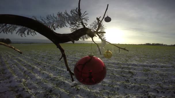 ramo de árvore no campo de inverno com bugiganga de Natal e nascer do sol, 4K
 - Filmagem, Vídeo