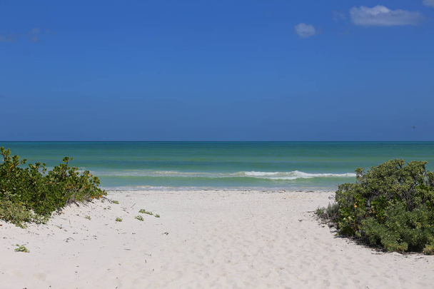 Strand mit weißem Sand - Foto, Bild