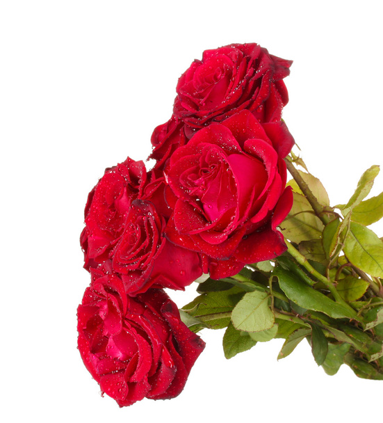beautiful bouquet of red roses isolated on white - Photo, image