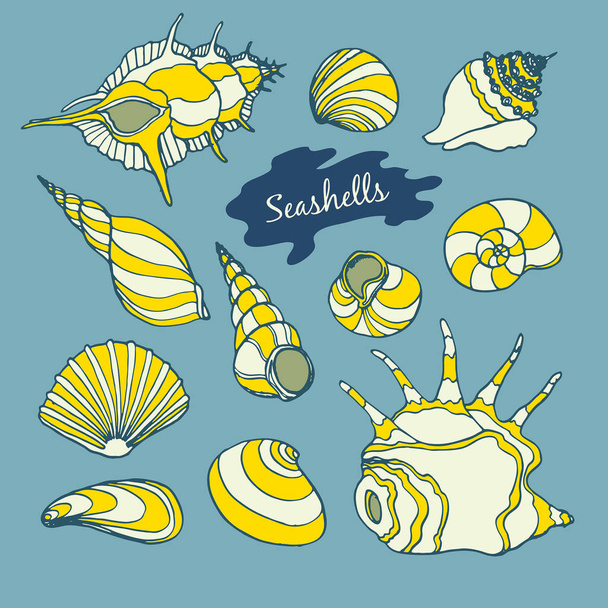 Sea vector collection with seashells - Vector, afbeelding