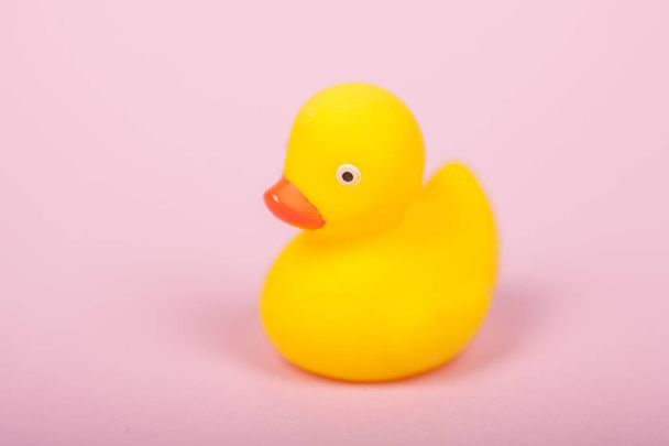 Roztomilý žlutá gumová kachna na růžovém pozadí - Fotografie, Obrázek