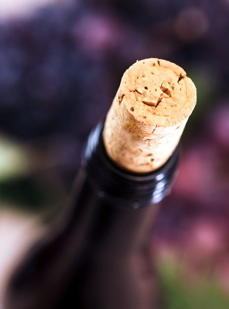 Closeup of wine bottle and cork - Photo, Image