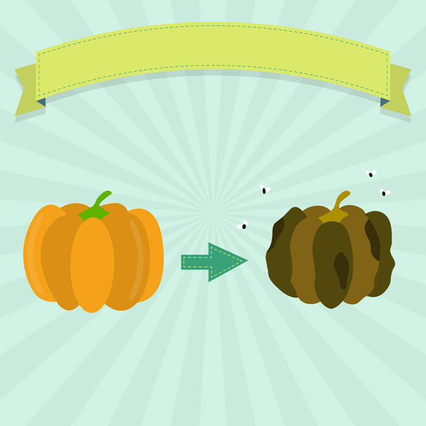 Rotten and fresh pumpkin - Vector, Image