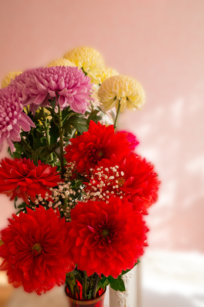 Bouquet di crisantemi rosso, bianco e rosa
. - Foto, immagini