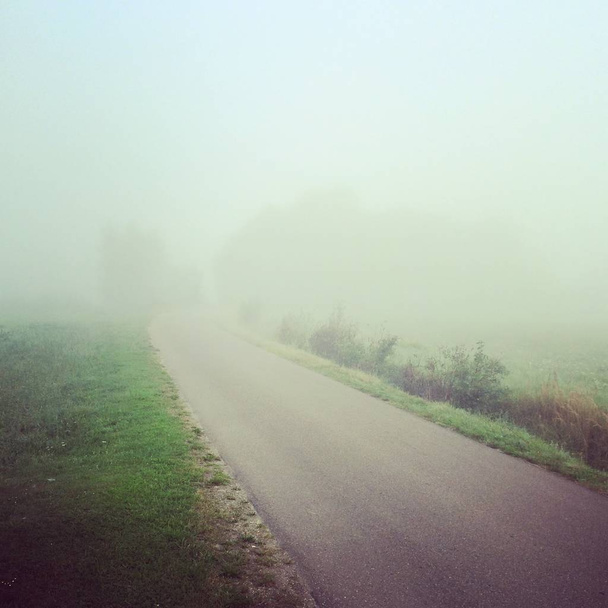 el camino en la niebla - Foto, Imagen