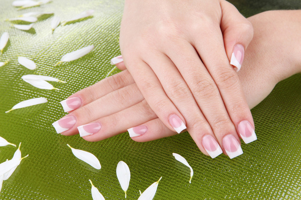 Woman hands with french manicure and flowers on green background - Photo, Image