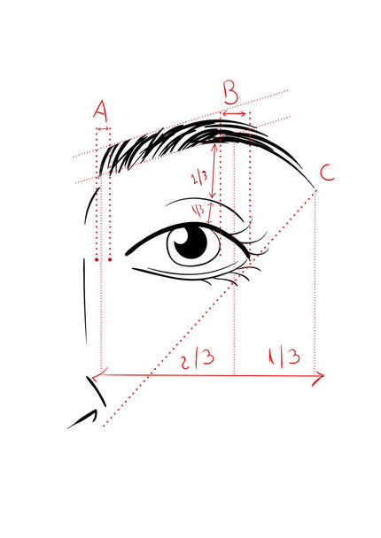 Shaping The Eyebrows - Photo, Image