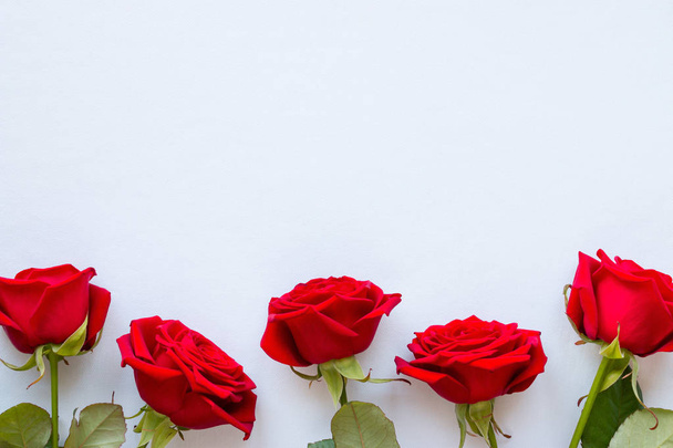 red roses on a white background for Valentine's day - Foto, Bild