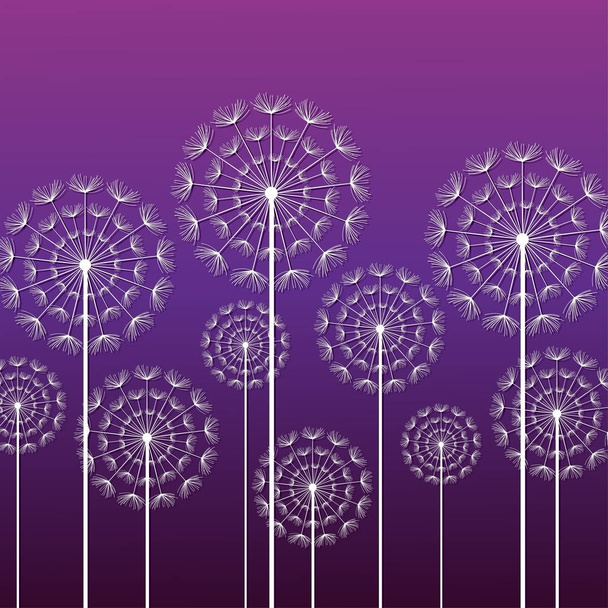 Μοβ φόντο με λευκό πικραλίδες - Διάνυσμα, εικόνα