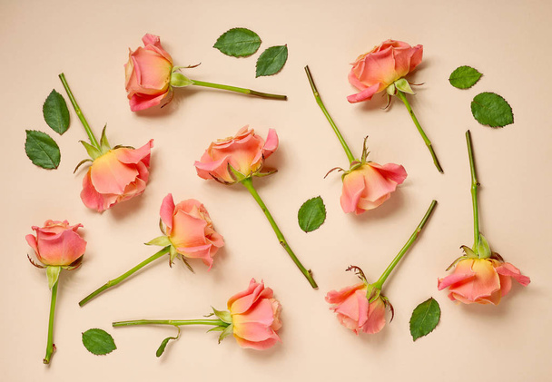 pink roses on beige background - Фото, зображення