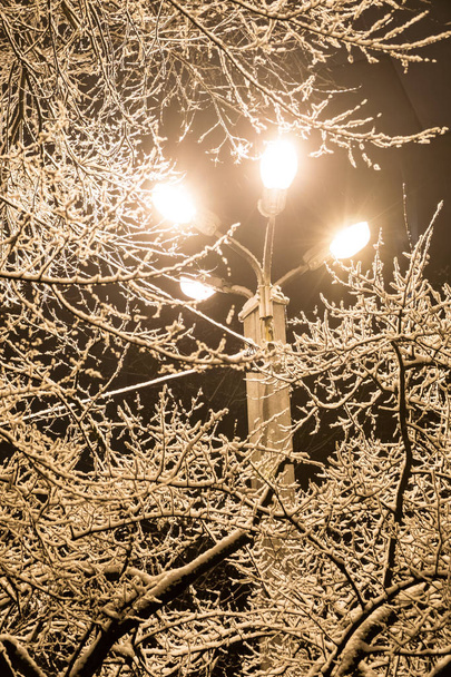 pouliční lampa v zimním parku - Fotografie, Obrázek