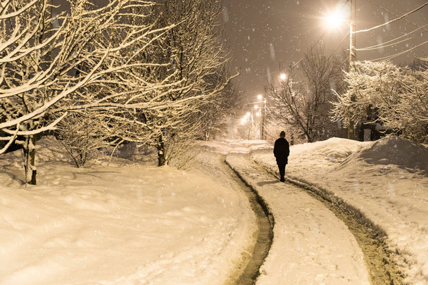 Woman walking distance in the winter - Fotoğraf, Görsel