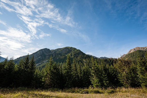 словацького Карпатських гір восени - Фото, зображення