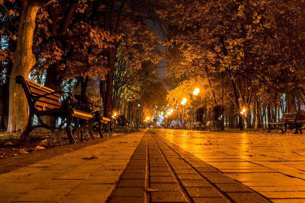 Spacer przez park w godzinach wieczornych - Zdjęcie, obraz